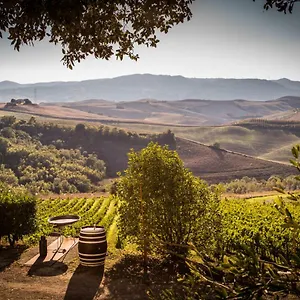 Pieve De Pitti Terricciola